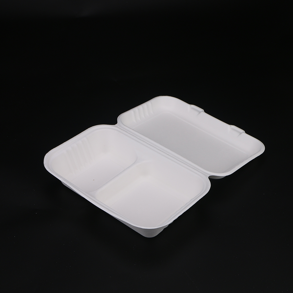 1000Ml 2 Compartmen Sugarcane Food Containers-6