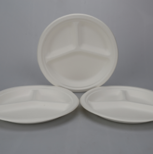 Sugarcane Plates-5
