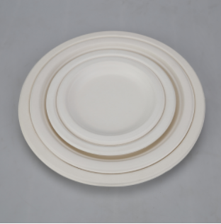 Sugarcane Plates-6