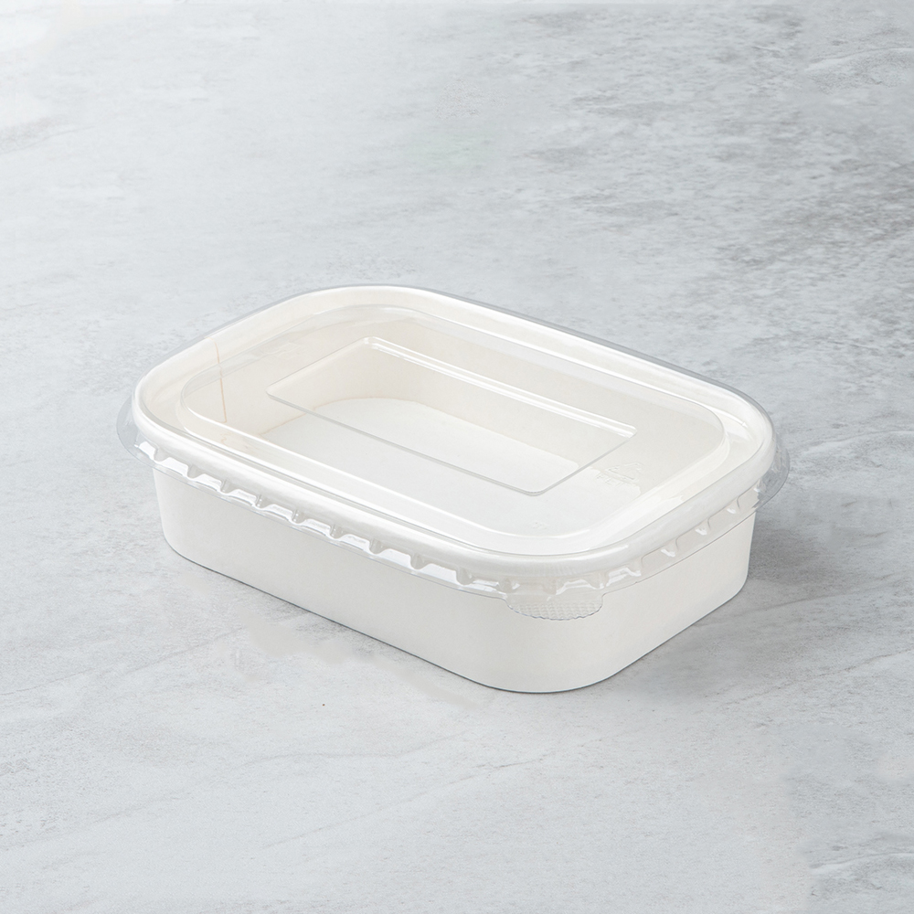 500ml White Cardboard Square Box with PET Lid